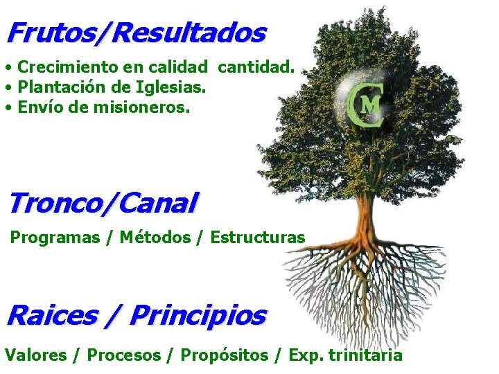 Frutos/Resultados • Crecimiento en calidad cantidad. • Plantación de Iglesias. • Envío de misioneros.