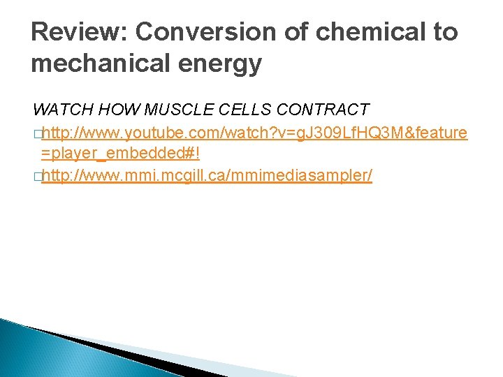 Review: Conversion of chemical to mechanical energy WATCH HOW MUSCLE CELLS CONTRACT �http: //www. Review: Conversion of chemical to mechanical energy WATCH HOW MUSCLE CELLS CONTRACT �http: //www.