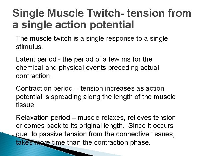 Single Muscle Twitch- tension from a single action potential The muscle twitch is a Single Muscle Twitch- tension from a single action potential The muscle twitch is a
