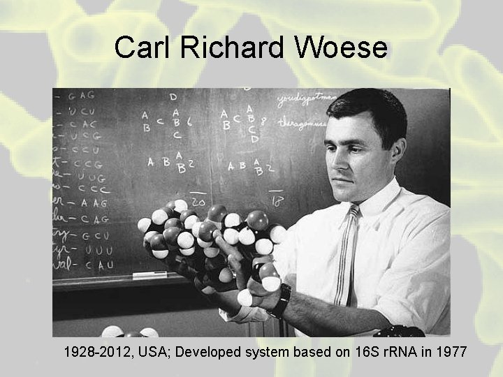 Carl Richard Woese 1928 -2012, USA; Developed system based on 16 S r. RNA