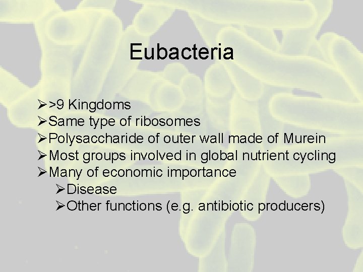Eubacteria Ø>9 Kingdoms ØSame type of ribosomes ØPolysaccharide of outer wall made of Murein