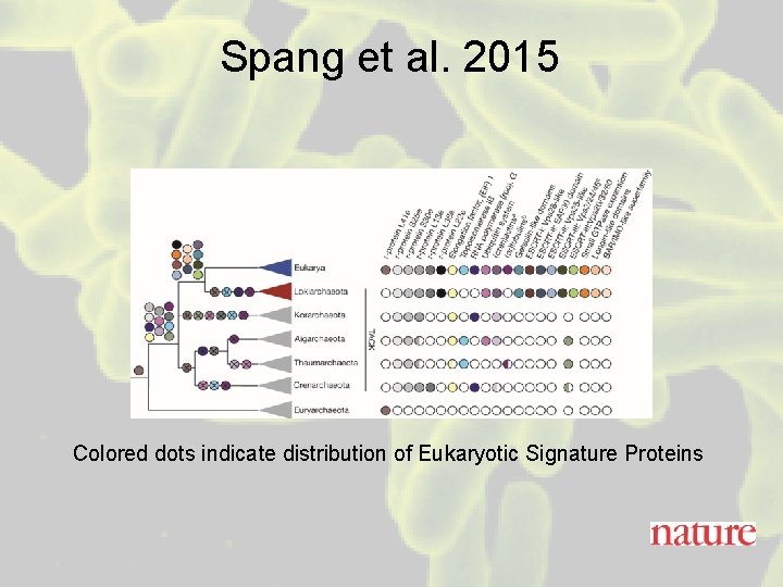 Spang et al. 2015 Colored dots indicate distribution of Eukaryotic Signature Proteins 