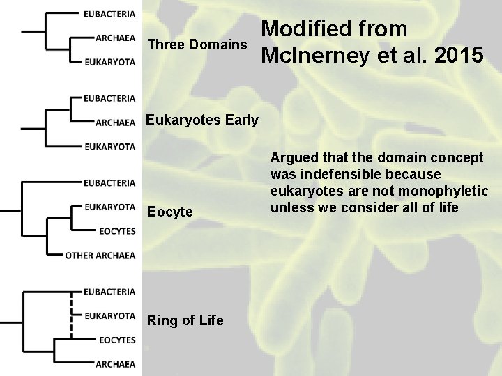 Three Domains Modified from Mc. Inerney et al. 2015 Eukaryotes Early Eocyte Ring of