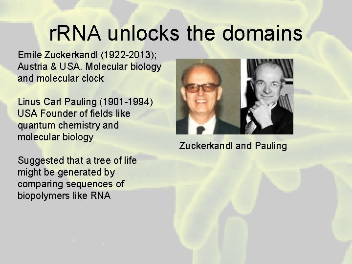 r. RNA unlocks the domains Emile Zuckerkandl (1922 -2013); Austria & USA. Molecular biology