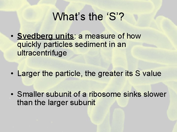 What’s the ‘S’? • Svedberg units: a measure of how quickly particles sediment in