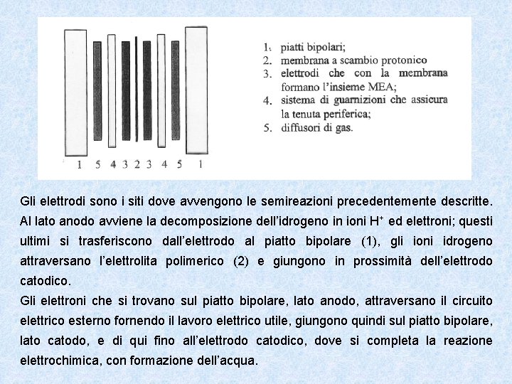 Gli elettrodi sono i siti dove avvengono le semireazioni precedentemente descritte. Al lato anodo