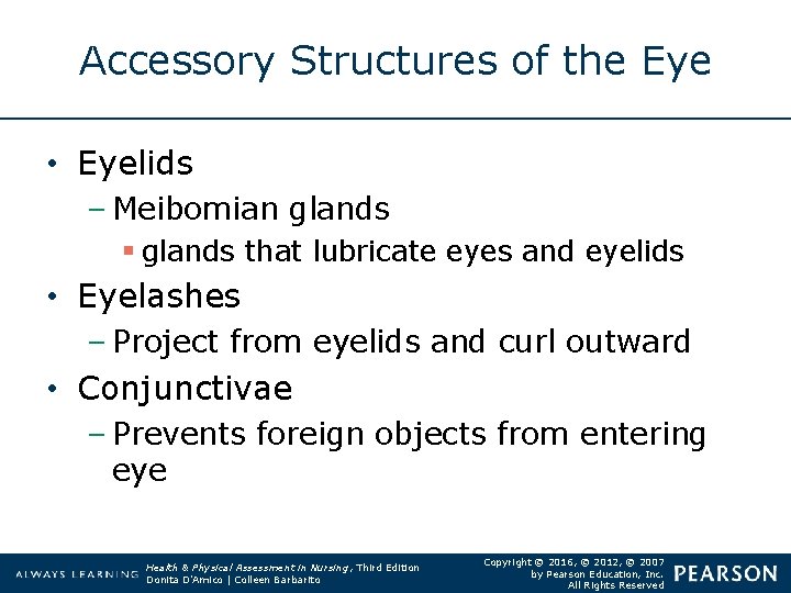 Accessory Structures of the Eye • Eyelids – Meibomian glands § glands that lubricate