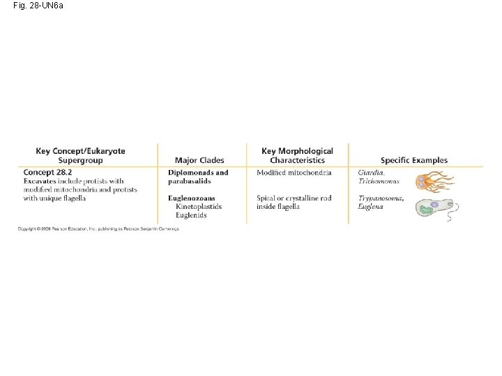 Fig. 28 -UN 6 a 