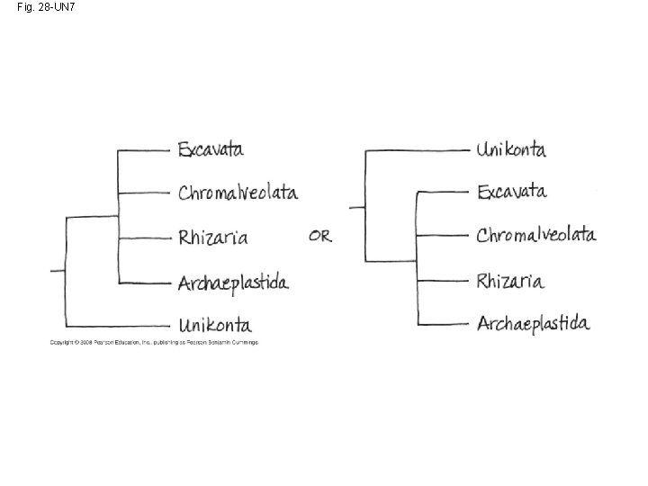 Fig. 28 -UN 7 