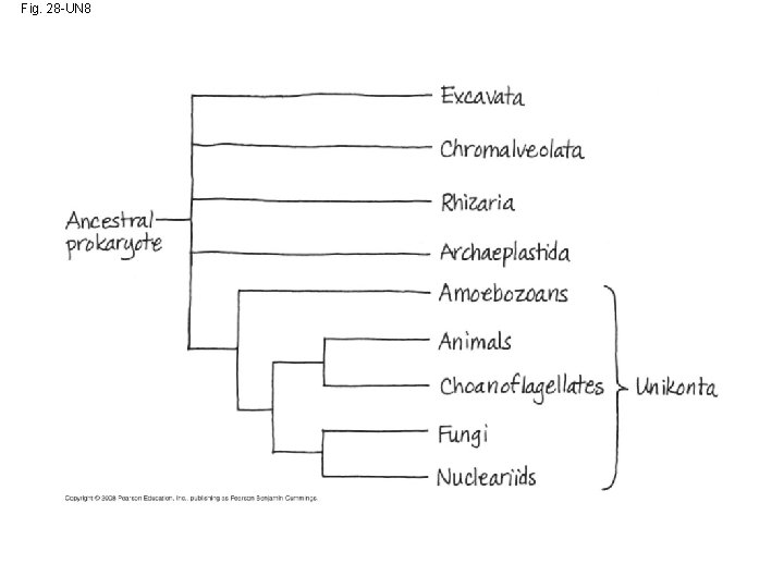 Fig. 28 -UN 8 