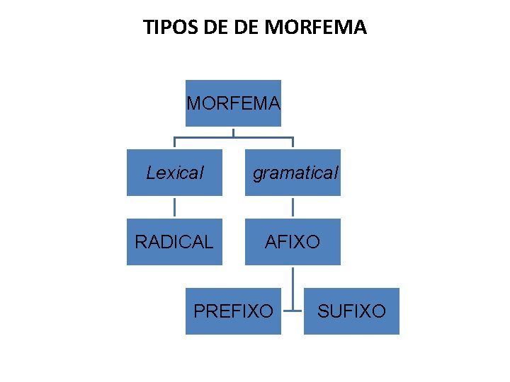 TIPOS DE DE MORFEMA Lexical gramatical RADICAL AFIXO PREFIXO SUFIXO 
