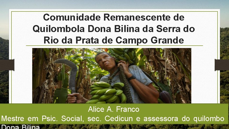 Comunidade Remanescente de Quilombola Dona Bilina da Serra do Rio da Prata de Campo