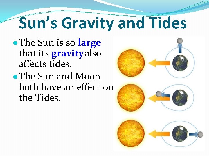 Sun’s Gravity and Tides ● The Sun is so large that its gravity also