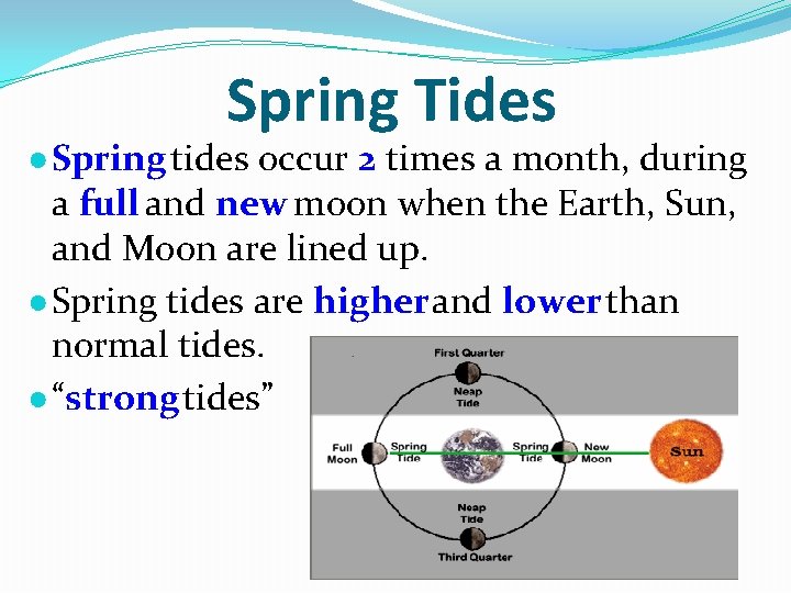 Spring Tides ● Spring tides occur 2 times a month, during a full and