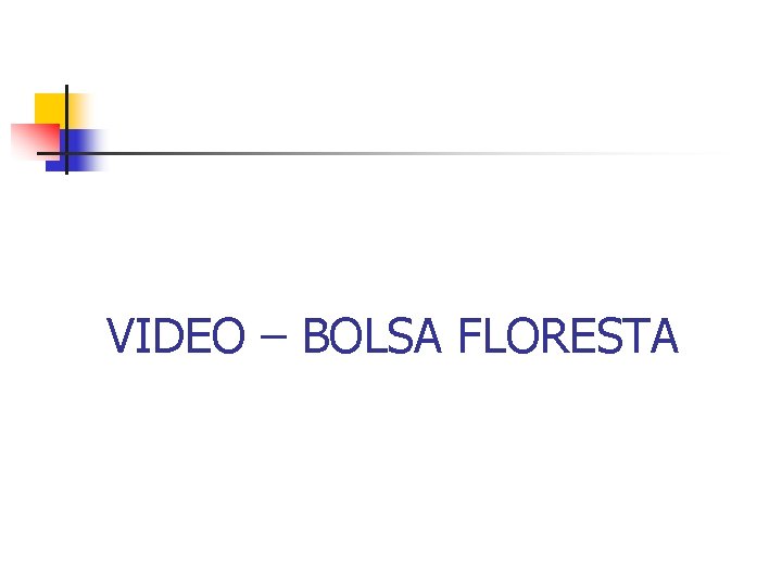 VIDEO – BOLSA FLORESTA 