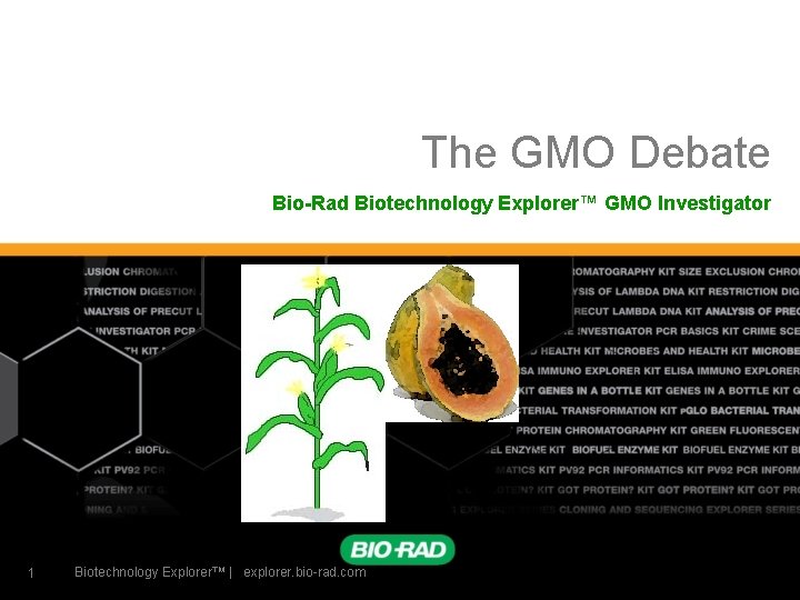 The GMO Debate Bio-Rad Biotechnology Explorer™ GMO Investigator 1 Biotechnology Explorer™ | explorer. bio-rad.