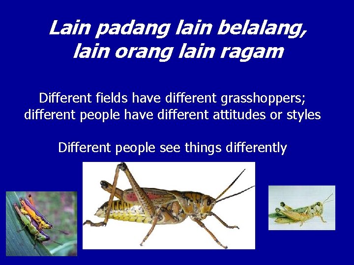 Lain padang lain belalang, lain orang lain ragam Different fields have different grasshoppers; different