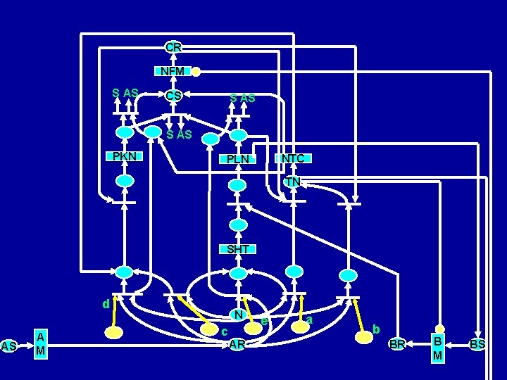 CR NFM S AS CS S AS PKN NTC PLN TN SHT d AS