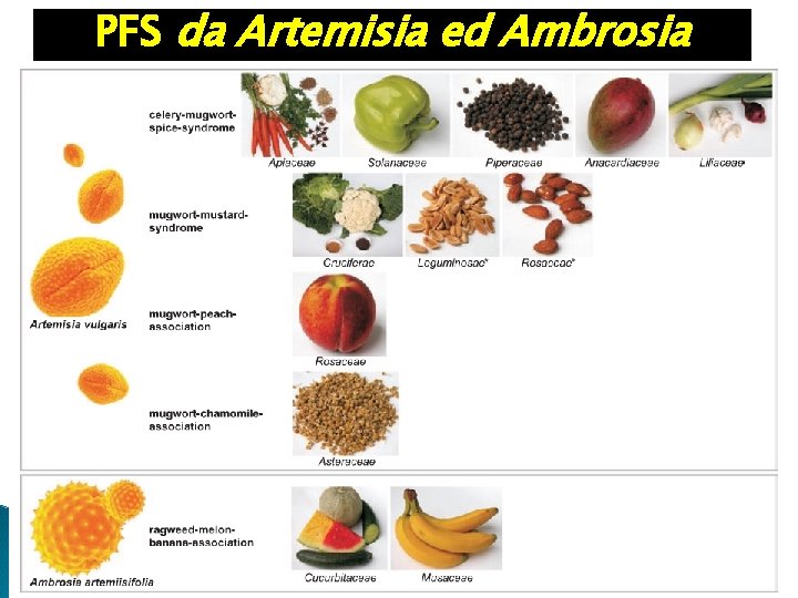 PFS da Artemisia ed Ambrosia 