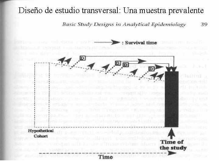 Diseño de estudio transversal: Una muestra prevalente 
