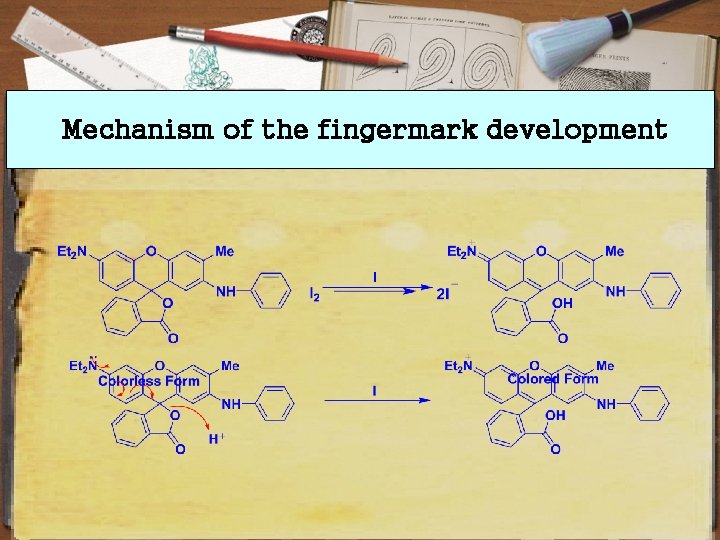 Mechanism of the fingermark development 