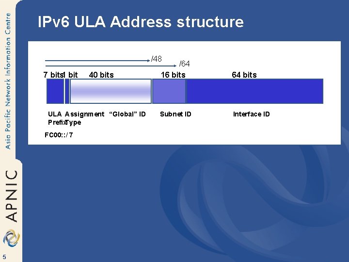 IPv 6 ULA Address structure /48 7 bits 1 bit 40 bits ULA Assignment