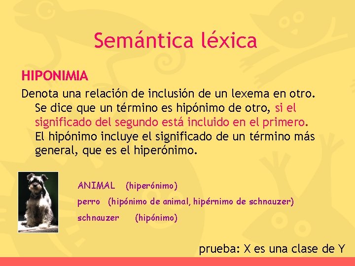 Semántica léxica HIPONIMIA Denota una relación de inclusión de un lexema en otro. Se