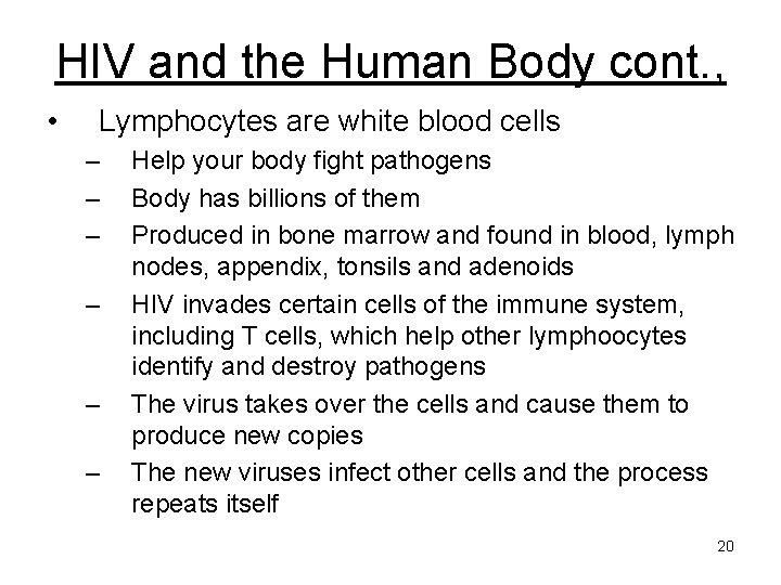 HIV and the Human Body cont. , • Lymphocytes are white blood cells –
