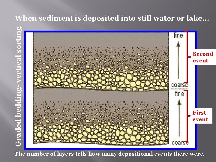 Graded bedding- vertical sorting When sediment is deposited into still water or lake… Second