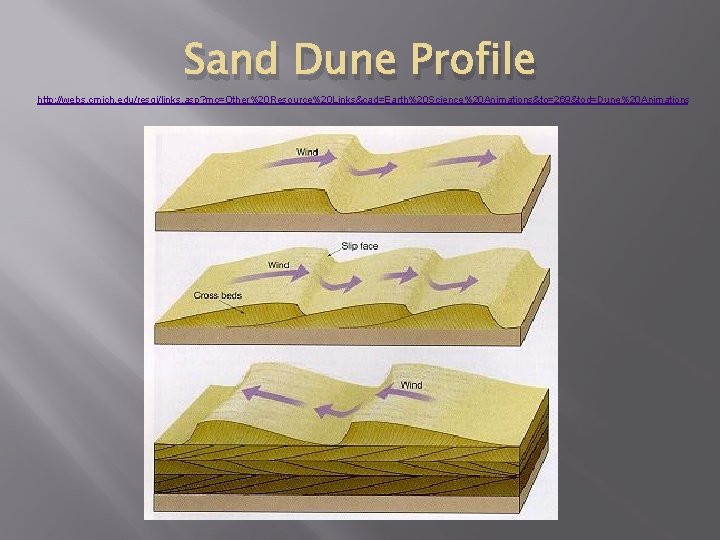 Sand Dune Profile http: //webs. cmich. edu/resgi/links. asp? mc=Other%20 Resource%20 Links&cad=Earth%20 Science%20 Animations&to=269&tod=Dune%20 Animations