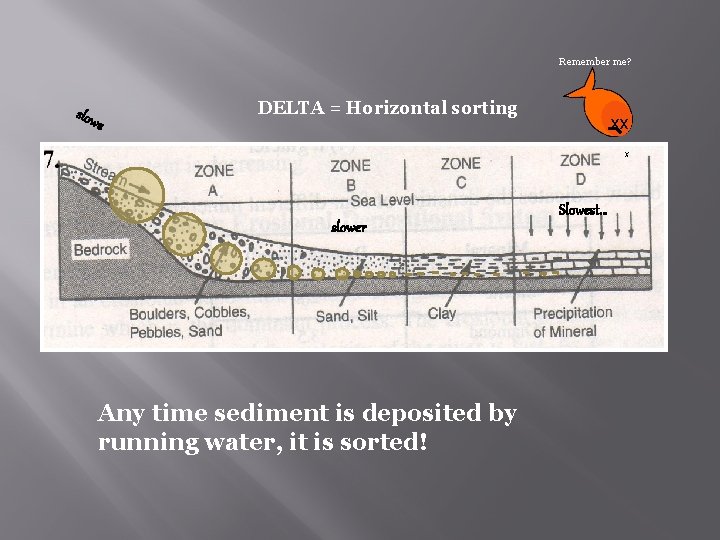 Remember me? slow s DELTA = Horizontal sorting xx X slower Any time sediment