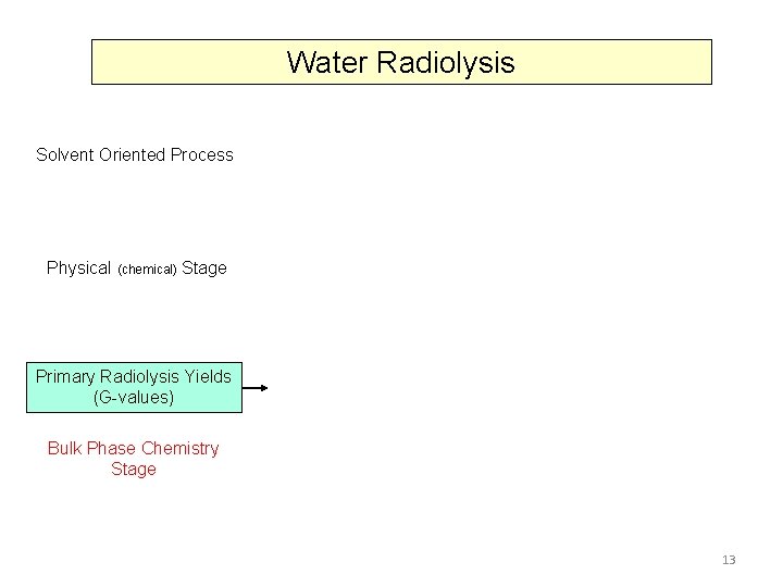 Water Radiolysis Solvent Oriented Process Physical (chemical) Stage Primary Radiolysis Yields (G-values) Bulk Phase