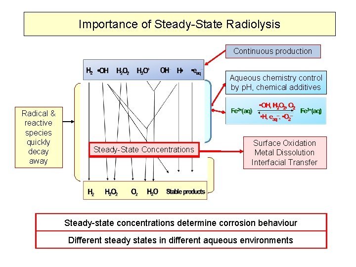 Importance of Steady-State Radiolysis Continuous production Aqueous chemistry control by p. H, chemical additives