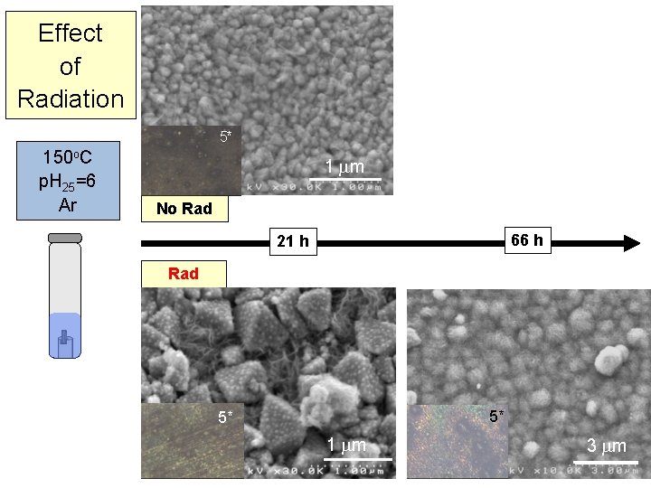Effect of Radiation 5* 150 o. C p. H 25=6 Ar m 13 m