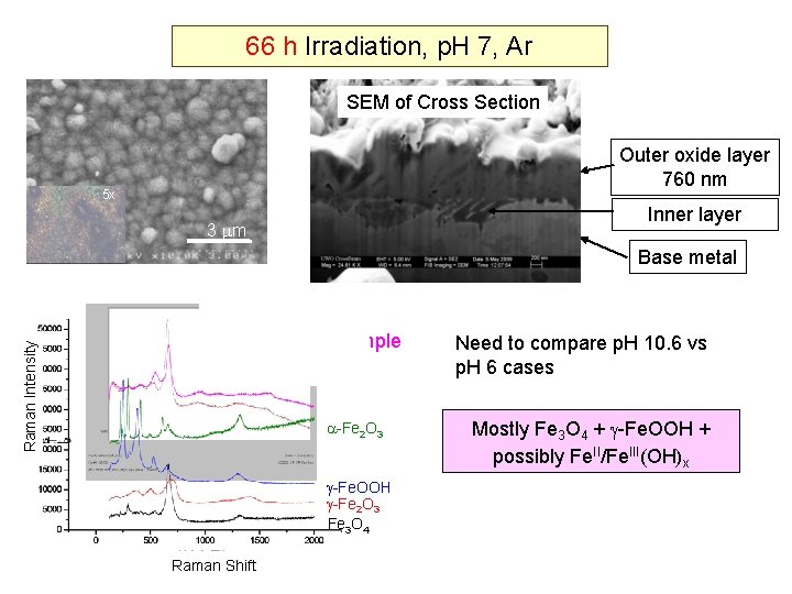 66 h Irradiation, p. H 7, Ar SEM of Cross Section Outer oxide layer