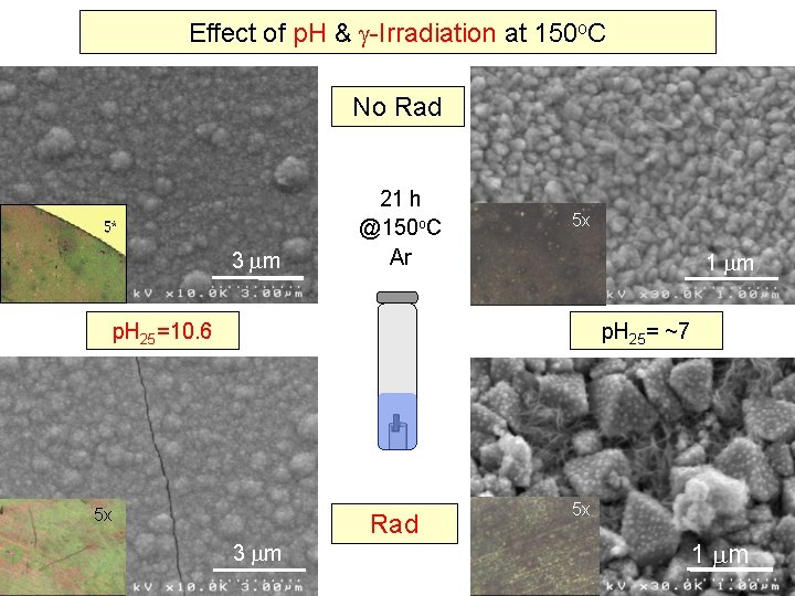 Effect of p. H & -Irradiation at 150 o. C No Rad 3 m