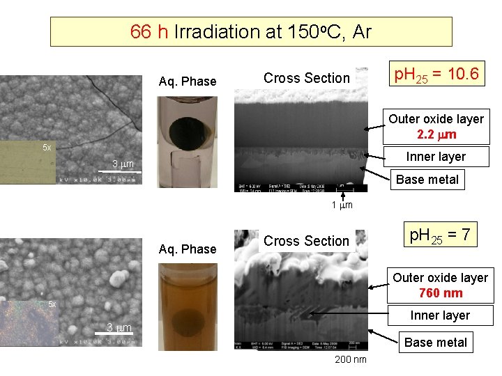66 h Irradiation at 150 o. C, Ar Aq. Phase Cross Section p. H
