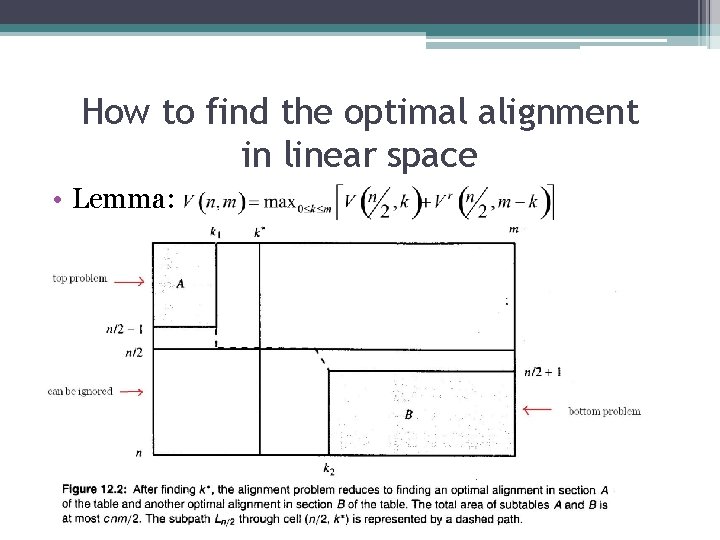 How to find the optimal alignment in linear space • Lemma: 