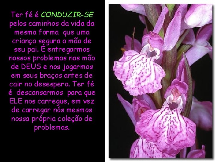 Ter fé é CONDUZIR-SE pelos caminhos da vida da mesma forma que uma criança