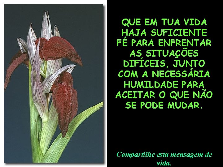 QUE EM TUA VIDA. HAJA SUFICIENTE FÉ PARA ENFRENTAR AS SITUAÇÕES DIFÍCEIS, JUNTO COM