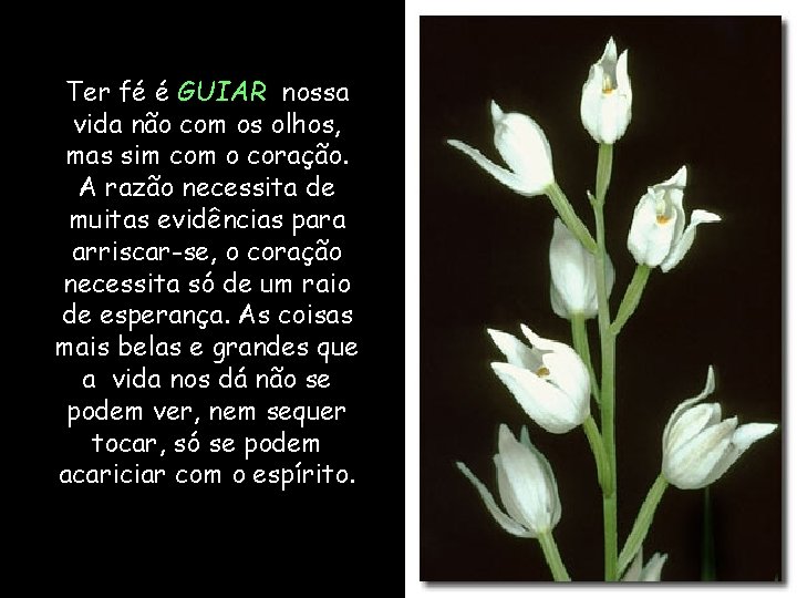 Ter fé é GUIAR nossa vida não com os olhos, mas sim com o