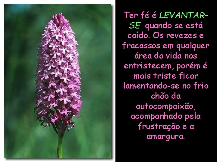 Ter fé é LEVANTARSE quando se está caído. Os revezes e fracassos em qualquer