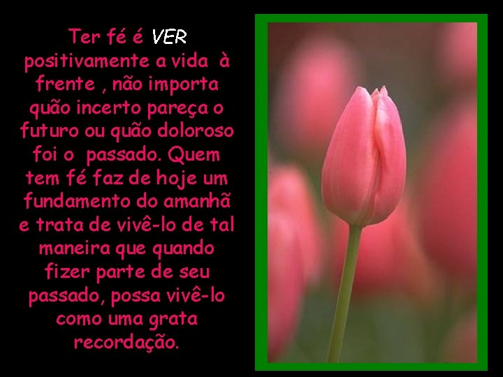 Ter fé é VER positivamente a vida à frente , não importa quão incerto