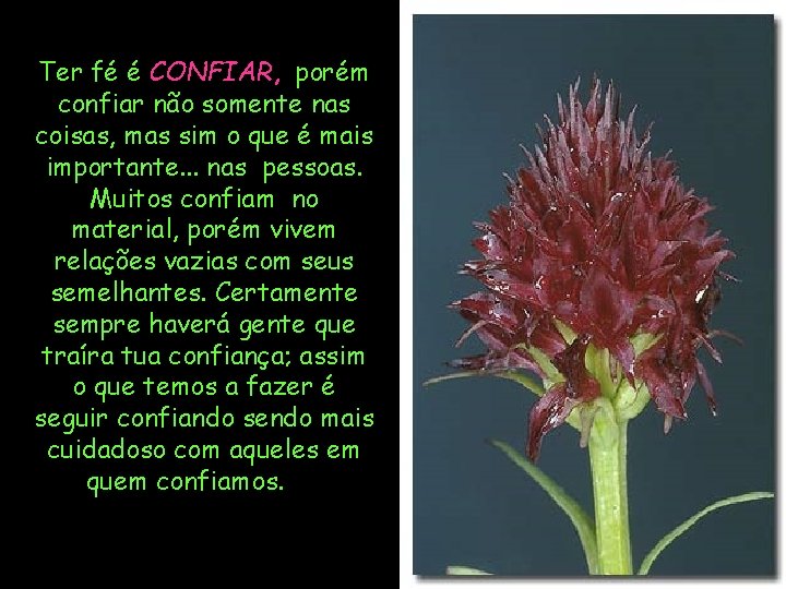 Ter fé é CONFIAR, porém confiar não somente nas coisas, mas sim o que