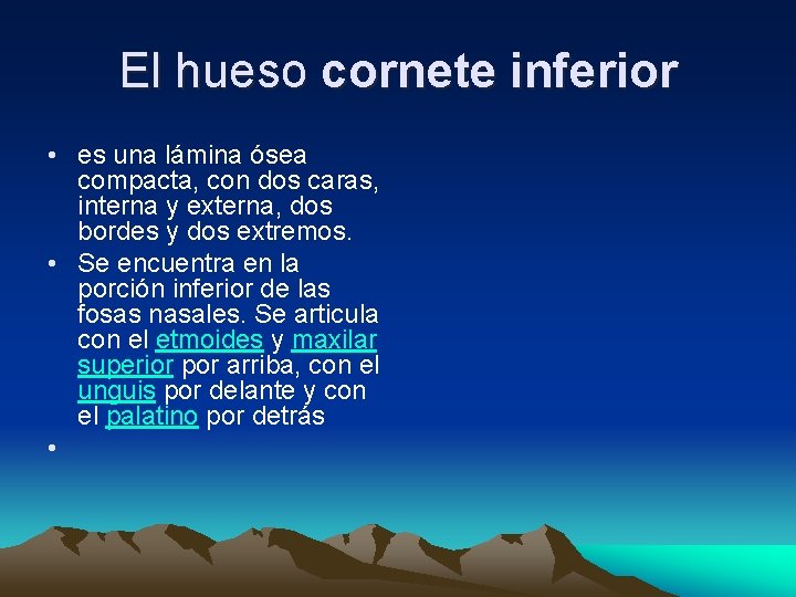 El hueso cornete inferior • es una lámina ósea compacta, con dos caras, interna