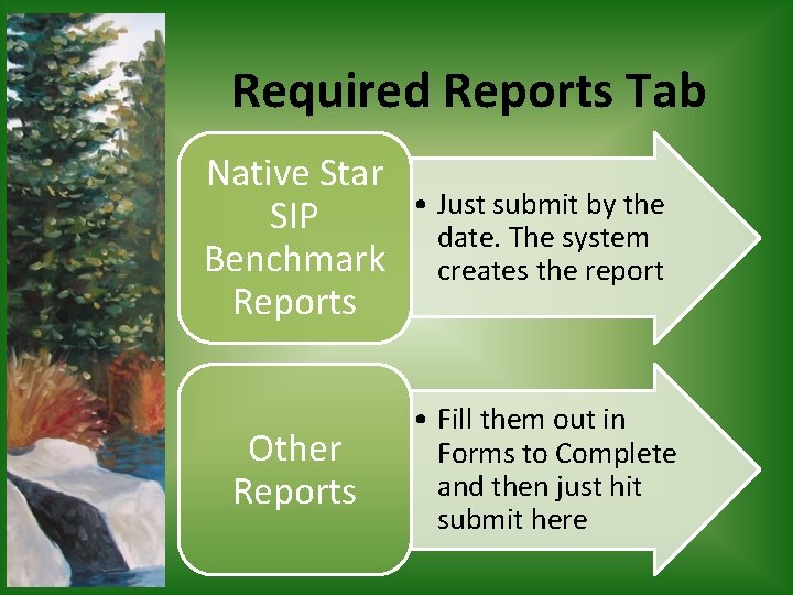 Required Reports Tab Native Star SIP Benchmark Reports • Just submit by the date.