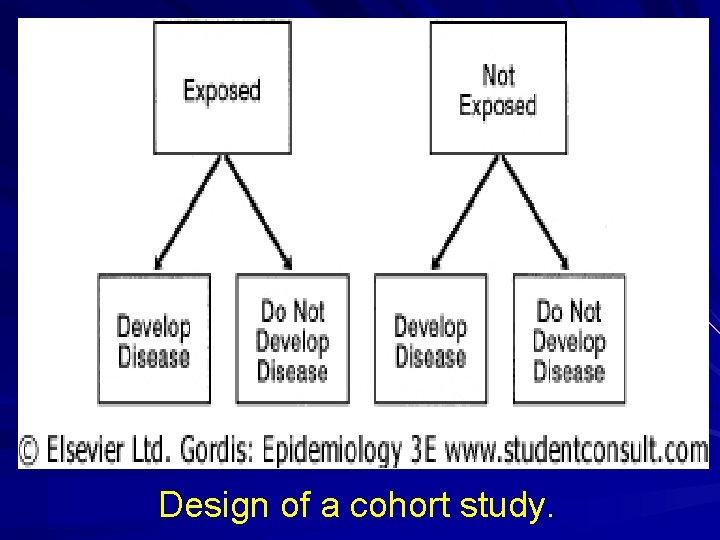 Design of a cohort study. 