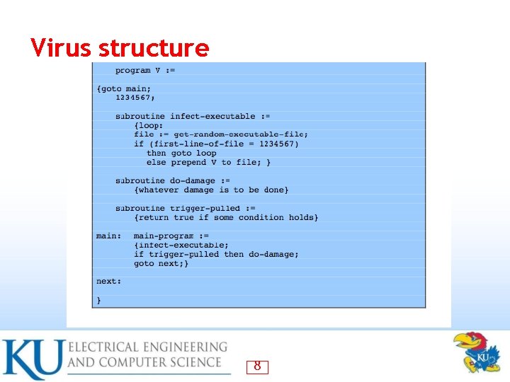 Virus structure 8 