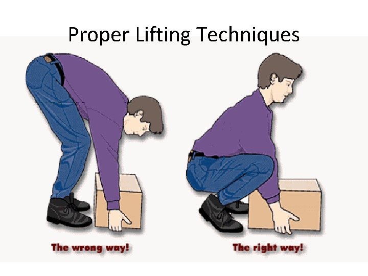 Proper Lifting Techniques 