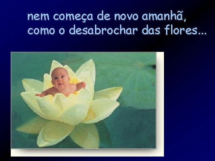 nem começa de novo amanhã, como o desabrochar das flores. . . 